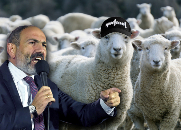 Մարդ ա վատացե՜լ․ 7or TV